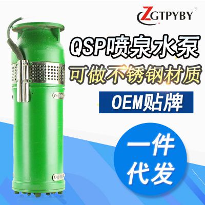 QSP100-12-5.5 喷泉泵 QSP充水式喷泉泵