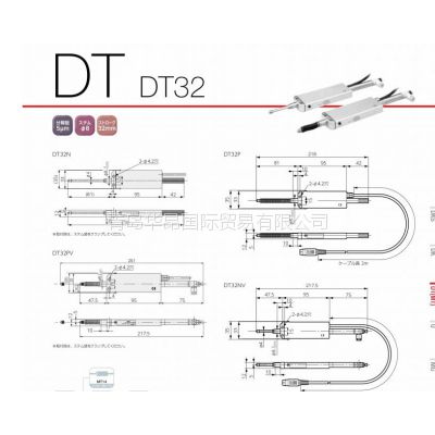 ӦձMagnescale̽DT32P
