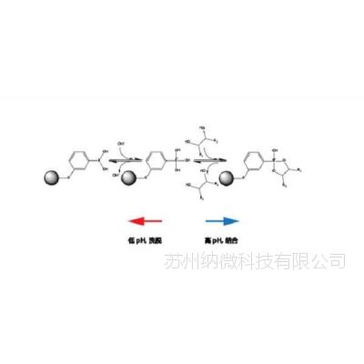 硼酸亲和层析介质价格