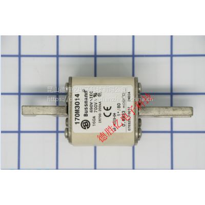 ӦBUSSMANN۶170M3014