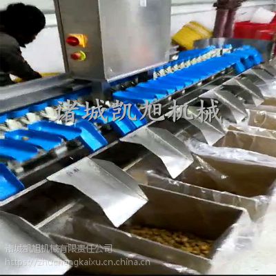 凯旭批发fx-6全自动地黄分级机器 鱿鱼分拣机