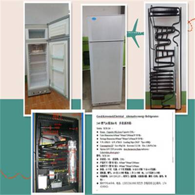 300-Gas refrigeratoro燃气冰箱