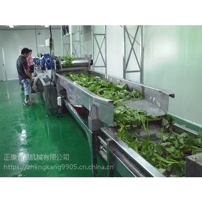 正康机械厂家直供不锈钢水果蔬菜清洗自动净菜加工生产线沥水风干流水线