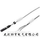˹FESTO SMT-8-SL-PS-LED-24ӽ FESTO人