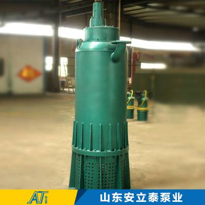 BQS400-160/2-280/Nø̷Ǳˮɳ