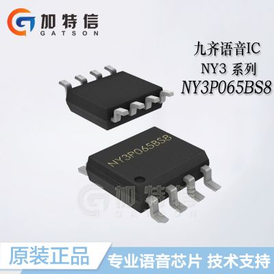 全新原装Nyquest/九齐语音IC OTP全系列 NY3P065BS8 封装SOP8 提供技术支持