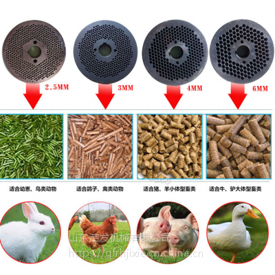 鸽子饲料颗粒机 生厂加工各种型号饲料颗粒机浩发批发