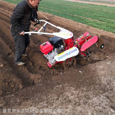 种洋芋山药开沟机 封畦打垄田园管理机 履带式施肥机