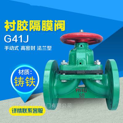 ͸ʴĽĤ G41J-16C DN250 ֶ