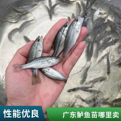  ˮ緱ֳ ׳ɻٲ ѧ ˮˮֳ