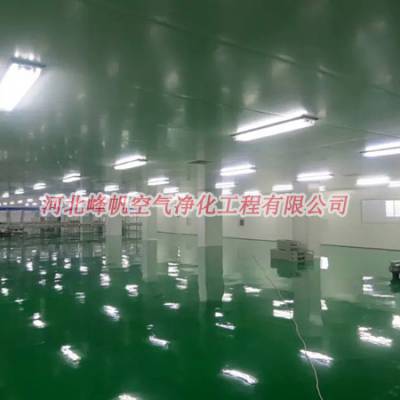 河北衡水制药厂净化车间工程设计施工找河北峰帆净化