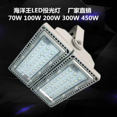 NTC9260 LEDͶ 100W200W