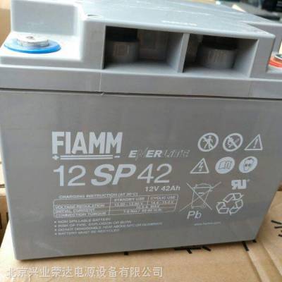 ***FIAMM蓄电池12SP42/12V42AH规格参数 现货直销