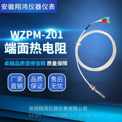 WZP-291ȵ PT100¶ȴ /4ƹ̶ȵ