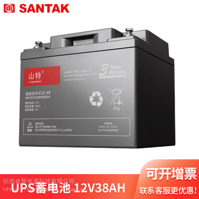 12V 38AH 山特城堡系列蓄电池数据中心，通讯设备用后备电源蓄电池