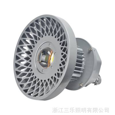 DGS48/127L(A)矿用隔爆型LED巷道灯圆形 矿用隔爆型LED照明灯