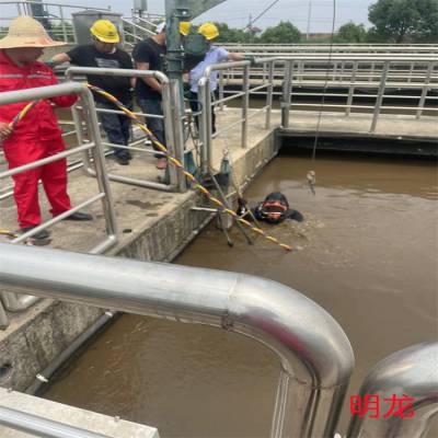 苏州市蛙人打捞队 从事各种水下打捞工程