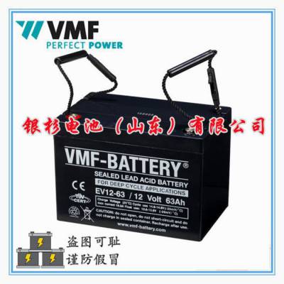 ԭװ ¹VMFEV12-63綯 ϴػѭ12V-63AH