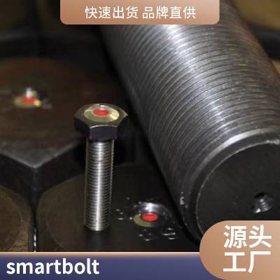 ĸ ˨ smartbolts ݴ˿ñ