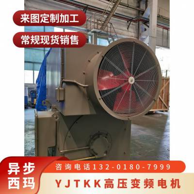 西玛SIMO变频调速高压电机YJTKK5602-6-1000kW 大外圆 采用滚动轴承