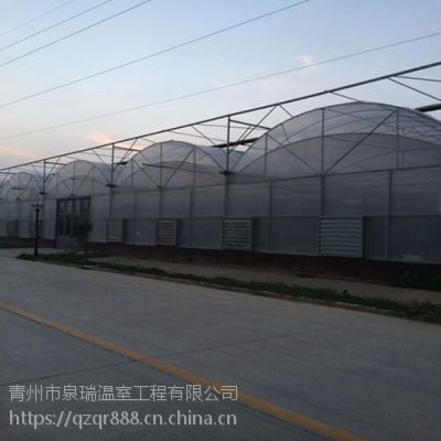 大型圆拱形连栋双拱双膜温室大棚 蔬菜花卉双拱双膜温室报价 青州泉瑞温室建造