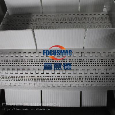 定制加工蔬菜链板输送机非标定制富意德谷物全自动传送机快递分拣