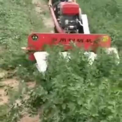 多功能稻麦割晒机林工厂家直销