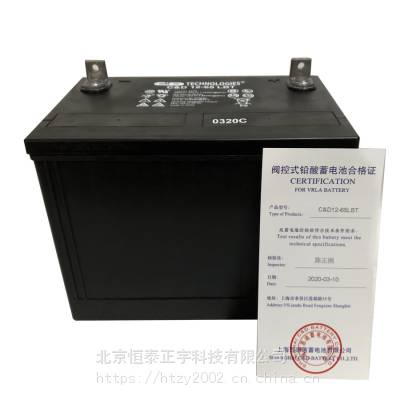 西恩迪蓄电池C&D12-26A LBT大力神阀控式铅酸蓄电池12V26AH