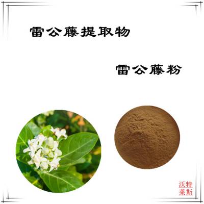雷公藤提取物101比例提取雷公藤粉雷公藤浸膏粉1公斤起订包邮