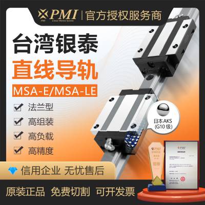 PMI银泰全钢珠式重负荷型直线导轨MSA系列S/LS/E/LE加长滑块型式