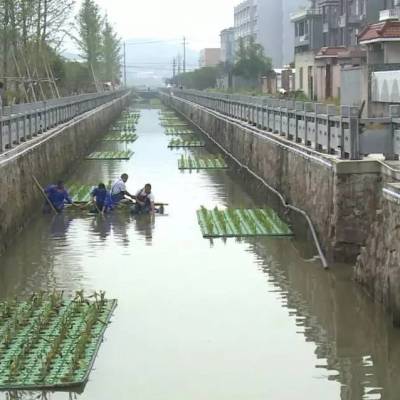 镇江市生态人工浮岛报 美化水面景观 北京生态浮岛