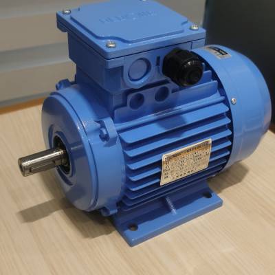 供应 上 海德东电机厂 YE4-80M2-2 1.1KW 三相异步电机 破碎机用电机