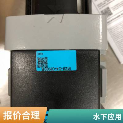 Demag斜齿轮减速电机A30 460 7.78 - 71.9 82.4 - 156系列欧洲进口楠