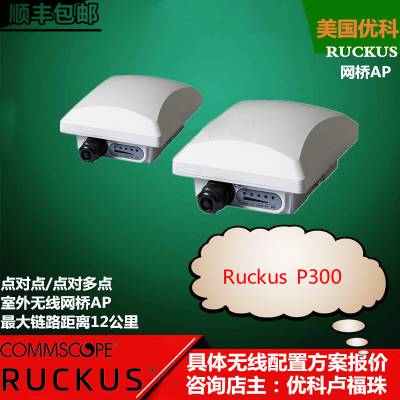优科P300无线网桥AP Ruckus P300优科901-P300-CN01