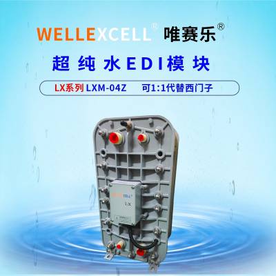 美国WELLEXCELL唯赛乐 高纯水系统EDI模块LXM04Z IONPURE西门子EDI模块