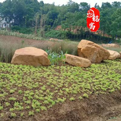 河南新乡黄蜡石多种用途 新乡黄蜡石园林布景 新乡黄蜡石堆货场