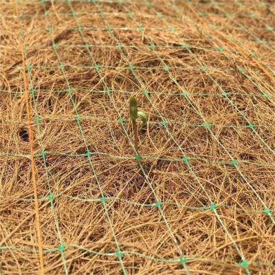 护坡抗冲植生毯 牡丹江加筋抗冲生物毯 植生椰丝毯 带草籽植物纤维毯