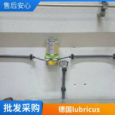上海爱立胜工业 精密润滑泵 LUBRICUS 德国集中润滑系统MUJ-2S