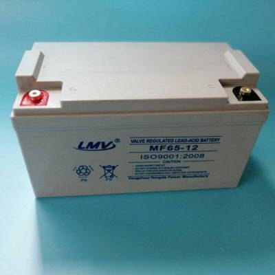 LMV蓄电池MF100-12 12V100AH医用心电图机应急灯应急通道照明配套使用应用环