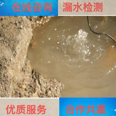 青岛化工厂漏损控制一次多少钱