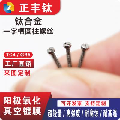 TC4钛合金一字槽圆柱头螺钉开槽螺丝圆头螺栓M1.6M2M3M4M5M6M8M10