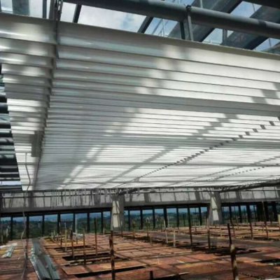 �綯88E��Ҷ ����������Ҷ ���Ͻ��Ҷ���� ������Ҷ