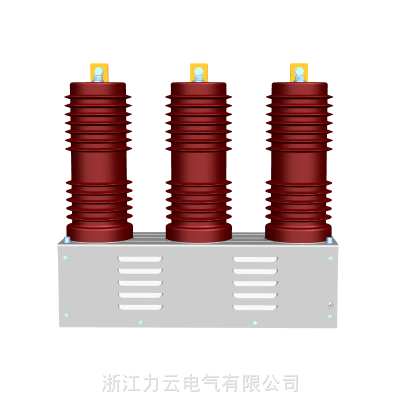 高原型极柱式永磁高压真空接触器12kV/400 630A 真空开关-力云电气