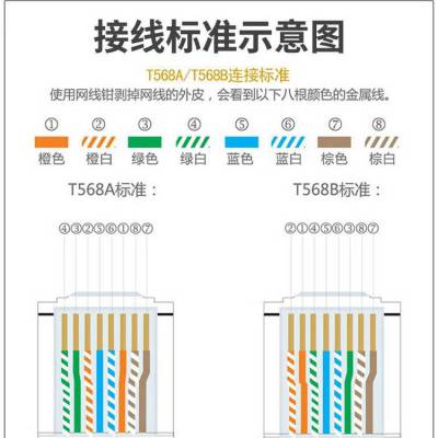 山泽云澳公司六类网线 CAT6类千兆网络跳线 WD6015