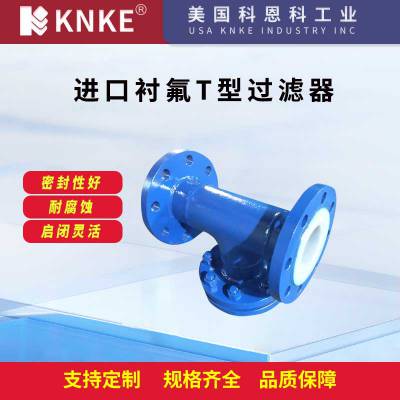 进口衬氟T型过滤器 不锈钢衬四氟法兰除污器 美国KNKE科恩科品牌