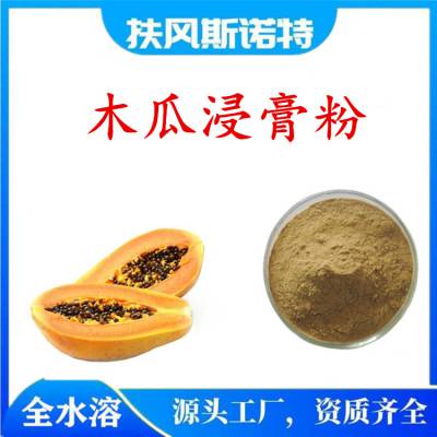 木瓜浸膏粉 斯诺特生物 奶茶代餐粉原料 可拿样测试