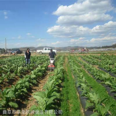 188汽油烟叶培土机 手拉启动小型开沟机 胡萝卜起垄机