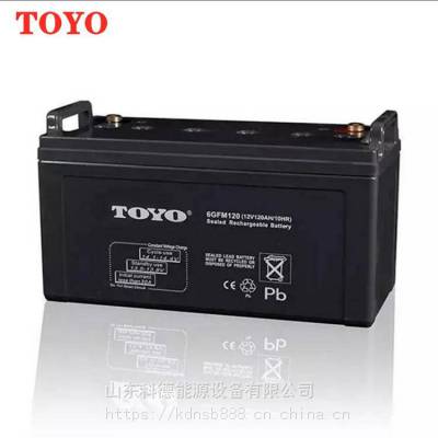 TOYO蓄电池6GFM120 东洋12V120AH 10HR通信机柜JAPA