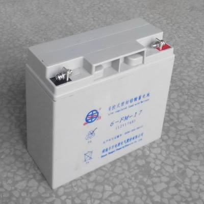 北京丰日蓄电池代理3-EVF-180高尔夫球车6V230AH电动巡逻车电瓶