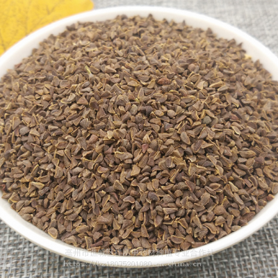 骆驼蓬子哪里购买骆驼蓬子可以种植吗价格多少一公斤